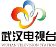 wuhanguangdian.png